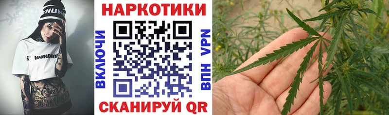 Наркошоп Калач-на-Дону Alpha-PVP  Меф  Псилоцибиновые грибы  Каннабис  ГАШ 