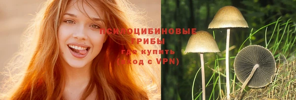 эйфоретик Нефтегорск