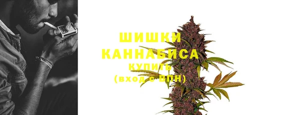 ГАЛЛЮЦИНОГЕННЫЕ ГРИБЫ Нея