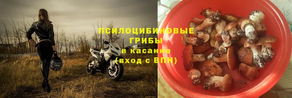 марихуана Новозыбков
