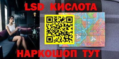 шишки Гатчина