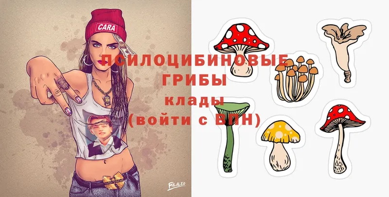 даркнет сайт  Калач-на-Дону  Псилоцибиновые грибы Cubensis 