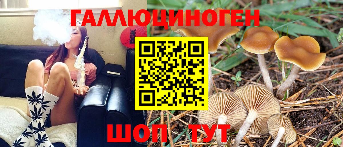 Галлюциногенные грибы ЛСД Калач-на-Дону