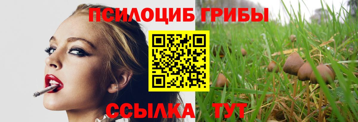 как найти закладки  Галлюциногенные грибы GOLDEN TEACHER  Вход с VPN  Калач-на-Дону  Псилоцибиновые грибы MAGIC MUSHROOMS 