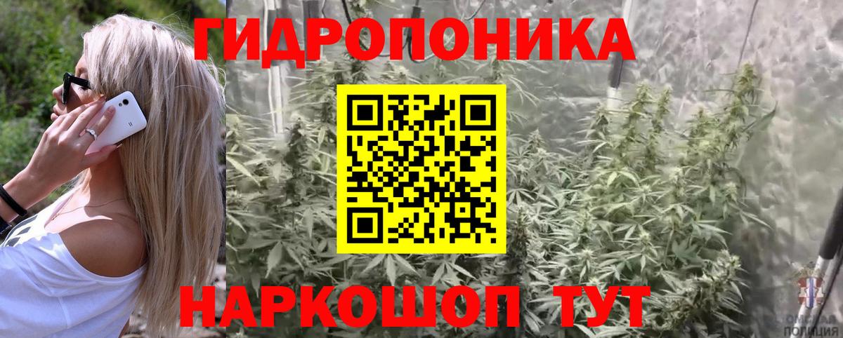 Бошки марихуана планчик  Конопля тримм  Бошки марихуана сатива  Калач-на-Дону 